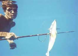 About- Methods of Spearfishing(1)
